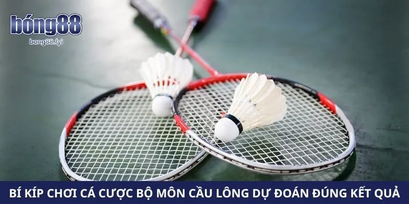 Bí kíp chơi cá cược bộ môn cầu lông dự đoán đúng kết quả
