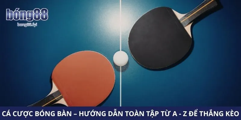 Cá Cược Bóng Bàn – Hướng Dẫn Toàn Tập Từ A - Z Để Thắng Kèo