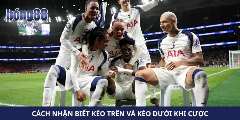 Cách nhận biết kèo trên và kèo dưới khi cược