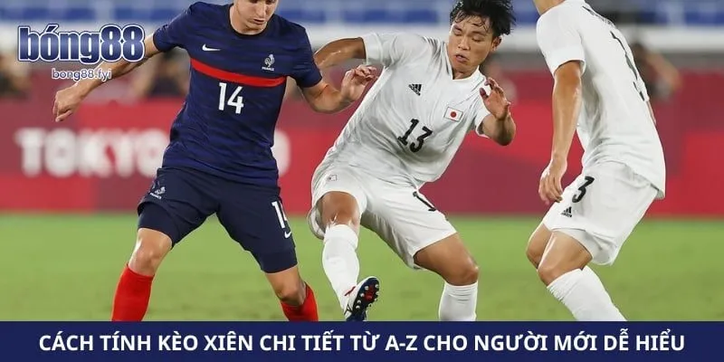 Cách Tính Kèo Xiên Chi Tiết Từ A-Z Cho Người Mới Dễ Hiểu