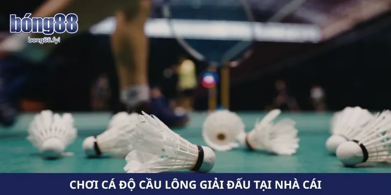 Chơi cá độ cầu lông giải đấu tại nhà cái
