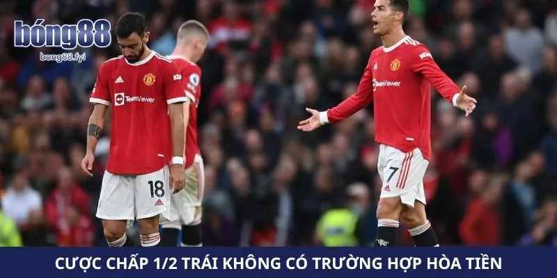 Cược chấp 1/2 trái không có trường hợp hòa tiền