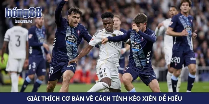 Giải thích cơ bản về cách tính kèo xiên dễ hiểu