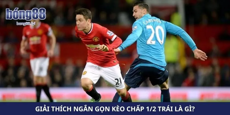 Giải thích ngắn gọn kèo chấp 1/2 trái là gì?