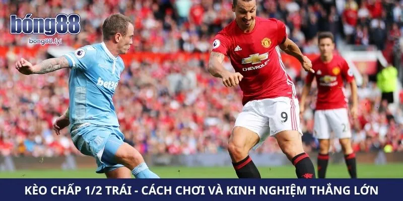 Kèo Chấp 1/2 Trái – Cách Chơi Và Kinh Nghiệm Thắng Lớn