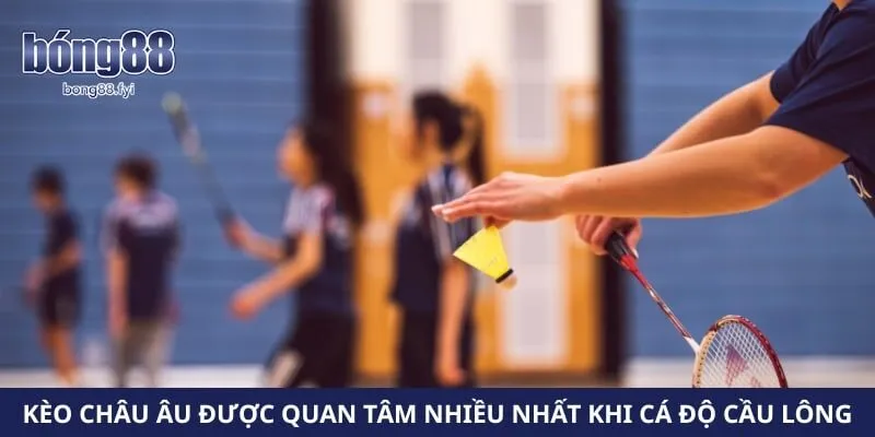 Kèo châu Âu được quan tâm nhiều nhất khi cá độ cầu lông