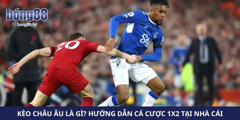 Kèo Châu Âu Là Gì? Hướng Dẫn Cá Cược 1×2 Tại Nhà Cái