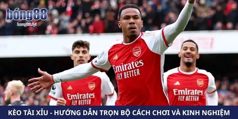 Kèo Tài Xỉu – Hướng Dẫn Trọn Bộ Cách Chơi Và Kinh Nghiệm