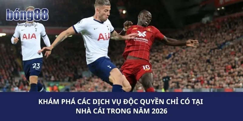 Khám phá các dịch vụ độc quyền chỉ có tại nhà cái trong năm 2026