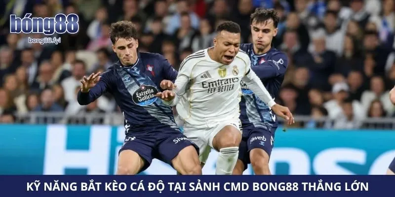 Kỹ năng bắt kèo cá độ tại sảnh CMD Bong88 thắng lớn