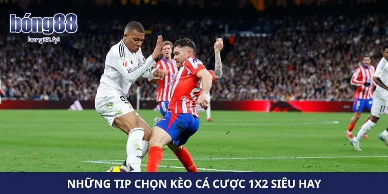 Những tip chọn kèo cá cược 1x2 siêu hay