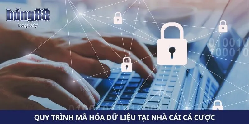Quy trình mã hóa dữ liệu tại nhà cái cá cược