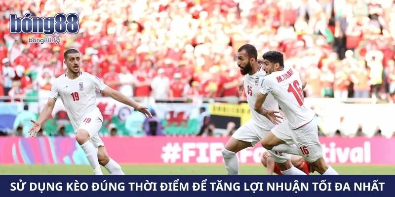 Sử dụng kèo đúng thời điểm để tăng lợi nhuận tối đa nhất