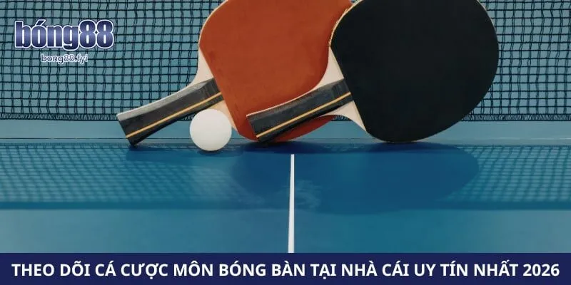 Theo dõi cá cược môn bóng bàn tại nhà cái uy tín nhất 2026