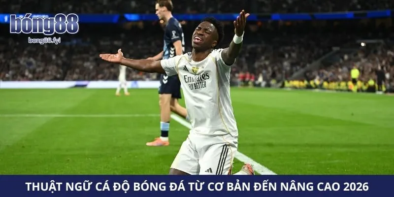 Thuật Ngữ Cá Độ Bóng Đá Từ Cơ Bản Đến Nâng Cao 2026