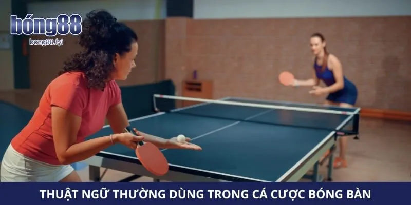Thuật ngữ thường dùng trong cá cược bóng bàn