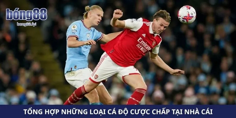 Tổng hợp những loại cá độ cược chấp tại nhà cái