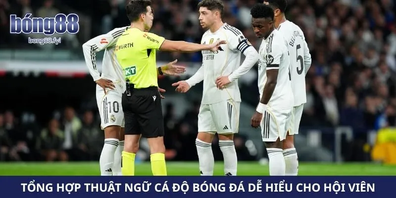 Tổng hợp thuật ngữ cá độ bóng đá dễ hiểu cho hội viên