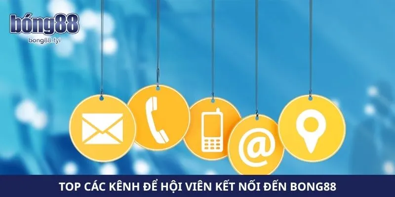 Top các kênh để hội viên kết nối đến Bong88