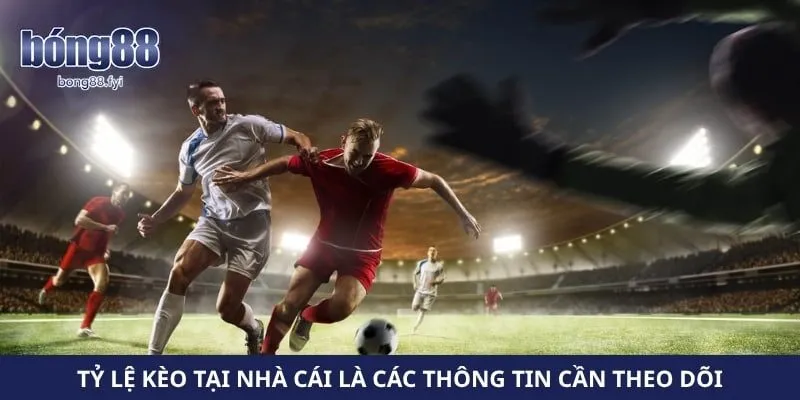 Tỷ lệ kèo tại nhà cái là các thông tin cần theo dõi